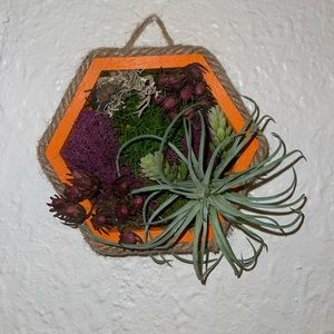 Handmade succulent wall, Decor